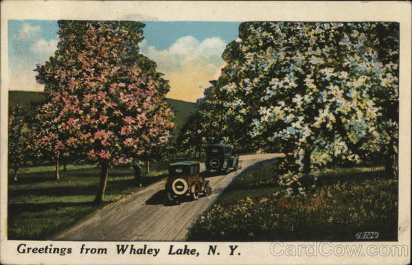Greetings, Scenic View Whaley Lake New York