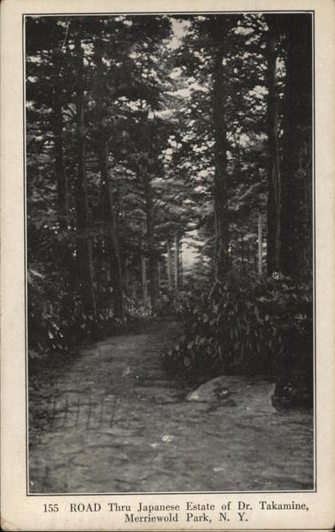 Road Thru Japanese Estate of Dr. Takamine Merriewold Park New York