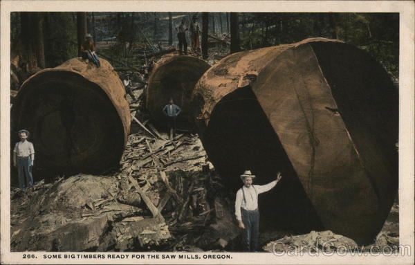 Some of the Big Timbers Ready for the Saw Mills, Oregon