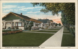 A Group of Homes, South Birch Street Postcard