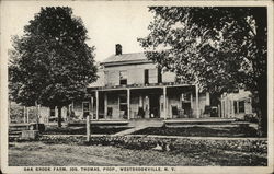 Oak Brook Farm, Jos. Thomas, Prop. Westbrookville, NY Postcard Postcard Postcard
