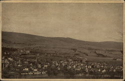 Bird's Eye View, South Side Sidney, NY Postcard Postcard Postcard