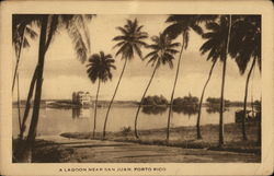 A Lagoon Near San Juan Puerto Rico Postcard Postcard Postcard