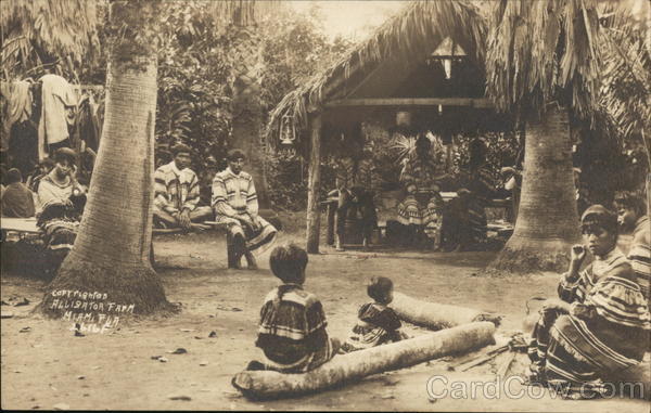 Alligator Farm Miami Florida