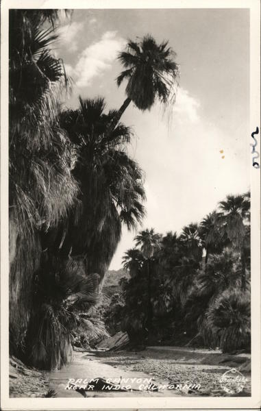Palm Canyon Indio California