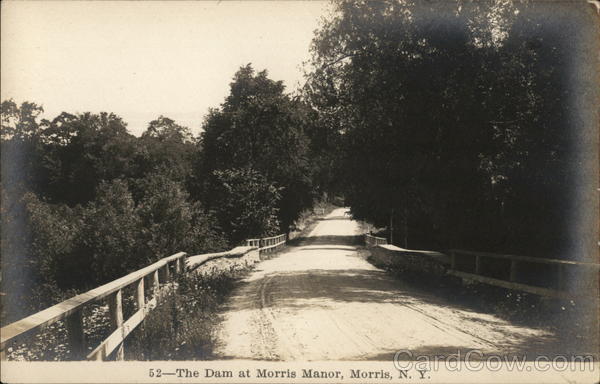 The Dam at Morris Manor New York