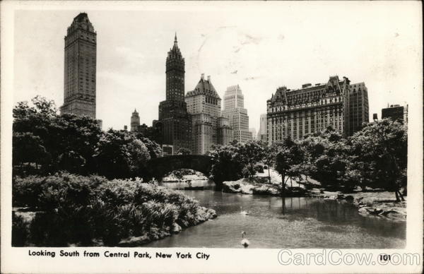 Looking South from Central Park New York City