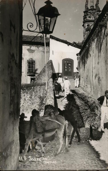 Donkeys Hauling on Narrow Hilly Street Taxco Mexico