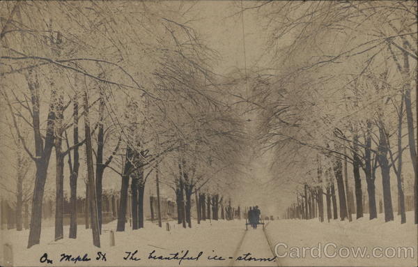 On Maple Street After the Ice Storm Battle Creek Michigan