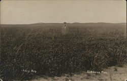 Fall Rye Glendive, MT Postcard Postcard Postcard