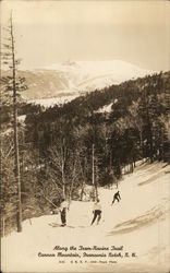 Along the Tram-Ravine Trail, Cannon Mountain Franconia, NH Postcard Postcard Postcard