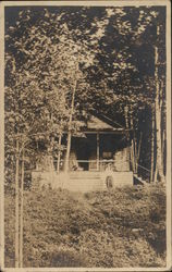 Cabin in the Woods Postcard