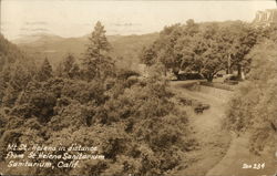 Mount St. Helen from St. Helena Sanitarium Postcard