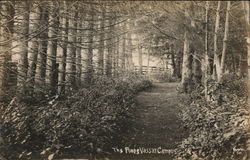 The Pines, Vassar Campus Postcard