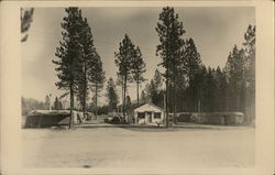 Trailer Park Postcard