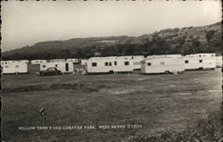 Willow Tree Farm Caravan Park Postcard
