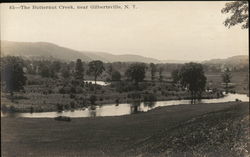 Butternut Creek near Gilbertsville New York Postcard Postcard Postcard