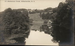 Butternut Creek Gilbertsville, NY Postcard Postcard Postcard