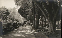 Alameda de León Oaxaca, Mexico Postcard Postcard Postcard