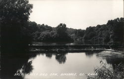 Salt Creek and Dam Postcard