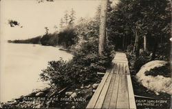 Along the Lake Shore Walk, Camp Waldheim Big Moose, NY Postcard Postcard Postcard