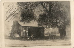 The Old Mark Twain Cabin Sonora, CA Postcard Postcard Postcard