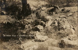 The Wood Pile ~ Petrified Forest, CA Calistoga, CA Postcard Postcard Postcard