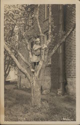 Child in Tree Children Postcard Postcard Postcard