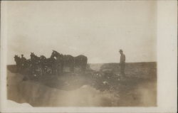 Farmer, Plow and Team of Horses in a Field Postcard