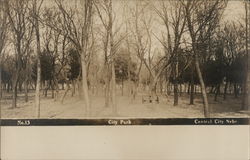 City Park Postcard