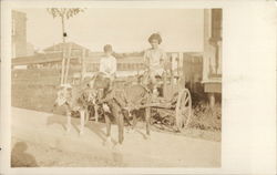 Children in Dog Carts Children in Dog Carts