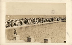 Spectators at Ocean Beach Park Swimming Pool Postcard