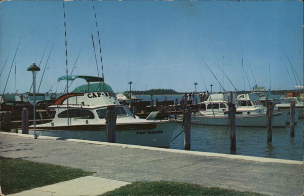 Charter Boats in Florida H. W. Hannau Sailboats