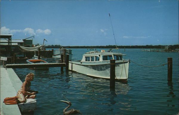 Feeding a Pelican, Coast of Florida Miami Beach H. W. Hannau