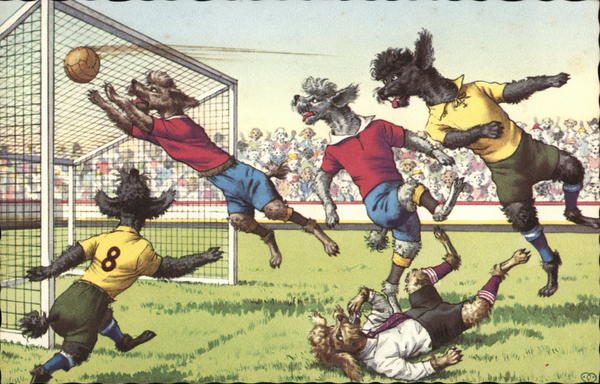 Poodles Playing Soccer Dogs