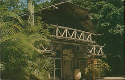 Hall of Giants Gift Shop, McKee Jungle Gardens Vero Beach, FL Postcard Postcard Postcard