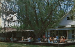 Waiohai Postcard