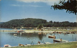 Danbury Town Park Postcard