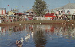 Swan Lake in Old New England Village, The Great Danbury State Fair Postcard
