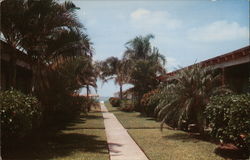 Alicia Motel and Apartments Postcard