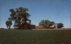 A Farm House Postcard