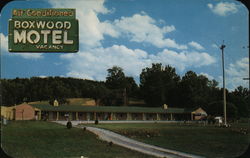 Boxwood Motel Roanoke, VA Postcard Postcard Postcard