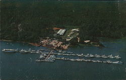 Palmetto Bay Marine Hilton Head Island, SC Postcard Postcard Postcard