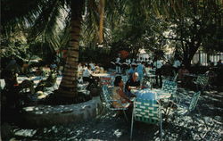 Antigua's Famous D'Arcy's Bar & Restaurant, Kensington Court Postcard