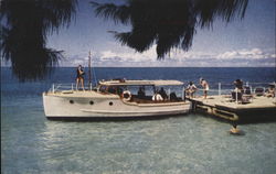 The Jetty at Sunset Lodge Postcard