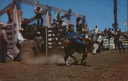 Belle Fourche - Home of the Black Hills Round-up South Dakota Postcard Postcard Postcard