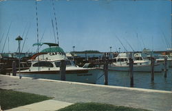 Charter Boats in Florida Postcard