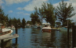 Yacht Basin and Marina, Holmes Beach Postcard