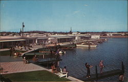 Beautiful Seaside Gardens Postcard