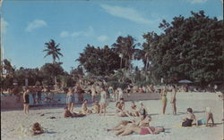 The Venetian Pool Postcard